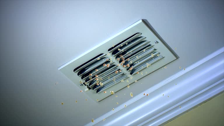Best Affordable Duct Cleaning Services  in Midway South, TX