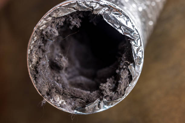 Best Air Duct Cleaning Near Me  in Midway South, TX